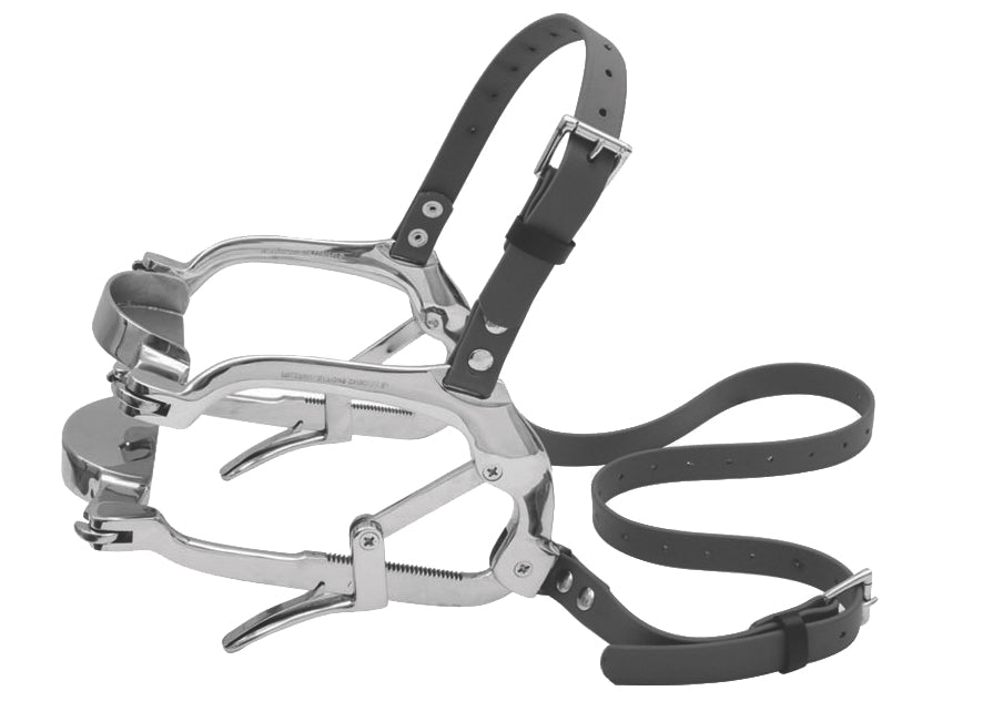 Millennium Speculum with Biothane Straps - Drop Forge Stainless