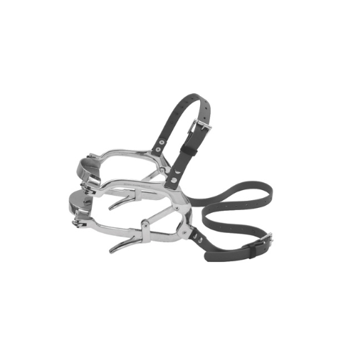 Millennium Speculum with Biothane Straps - Drop Forge Stainless